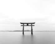 Japanese Tearsheets Image